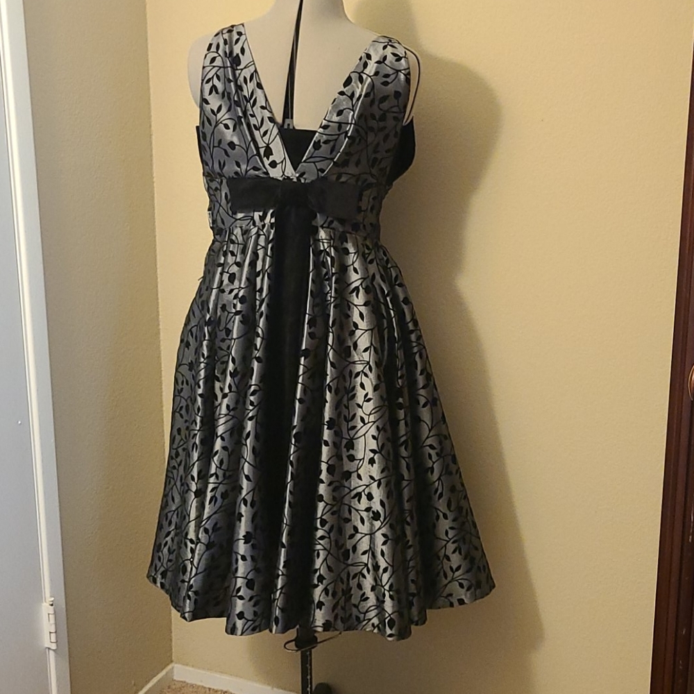 Silver and Velvet Dress - Picture 2 of 4